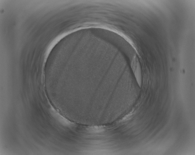 X0000078281527200612011731