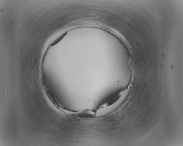 X0000078281528200612011731