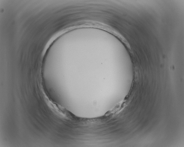 X0000078281530200612011732