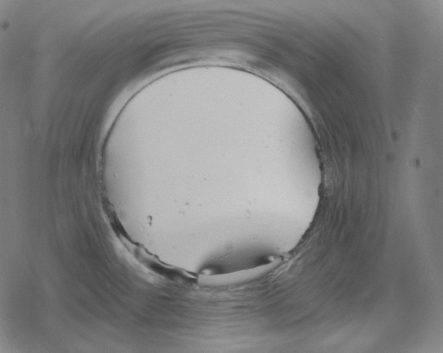 X0000078281532200612011732