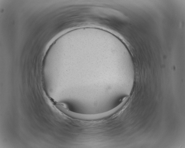 X0000078281534200612011732