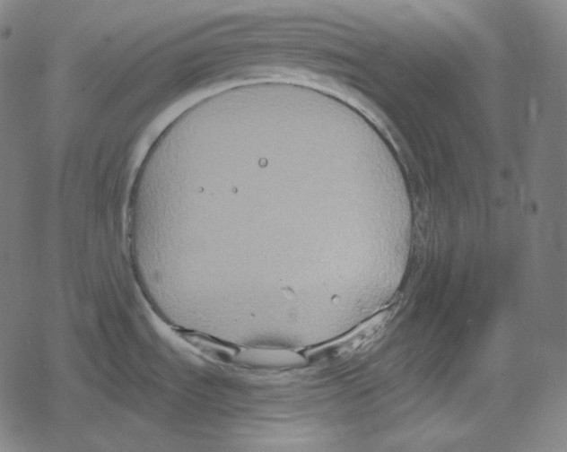 X0000078281535200612011732