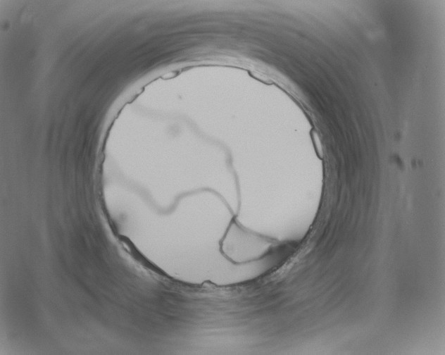 X0000078281536200612011732