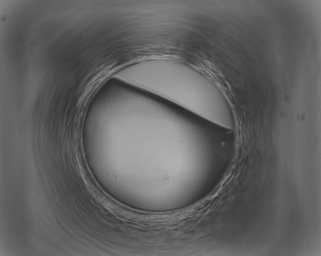 X0000078290001200611031004