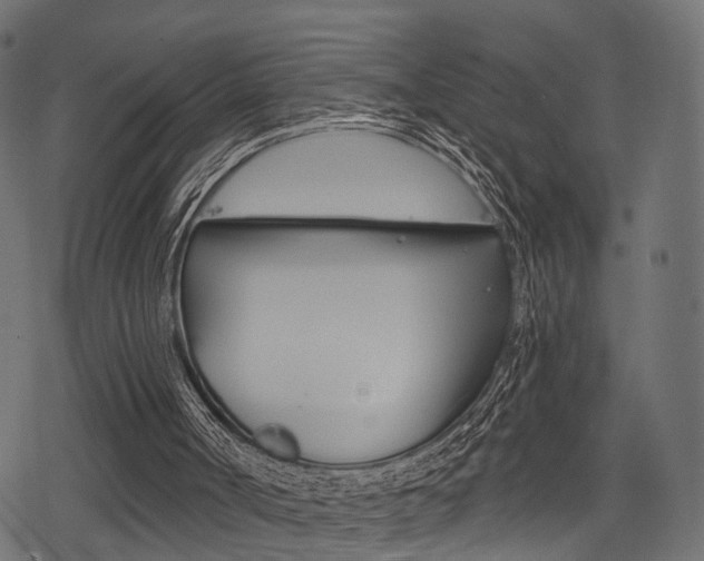 X0000078290002200611031004