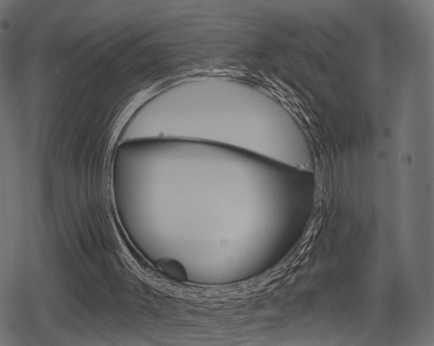 X0000078290003200611031004