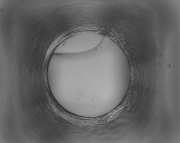 X0000078290004200611031004