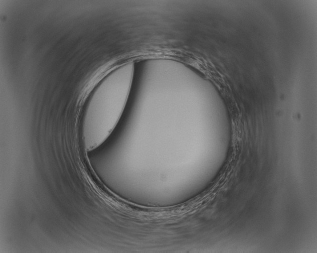 X0000078290005200611031004