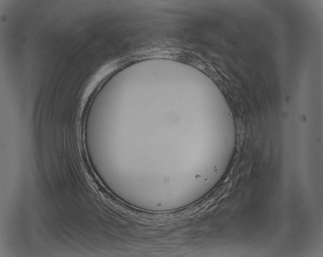 X0000078290006200611031004