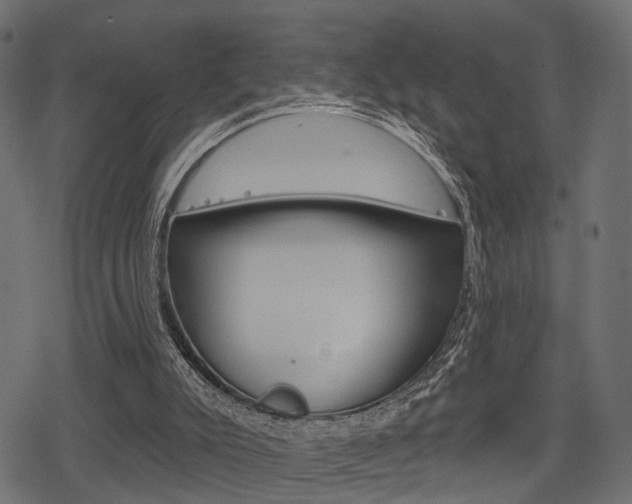 X0000078290007200611031003