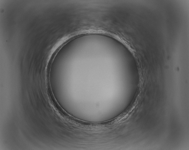 X0000078290008200611031003