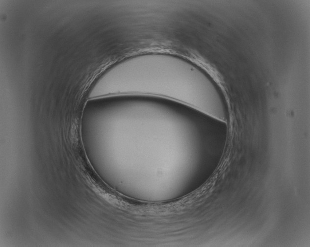 X0000078290009200611031003