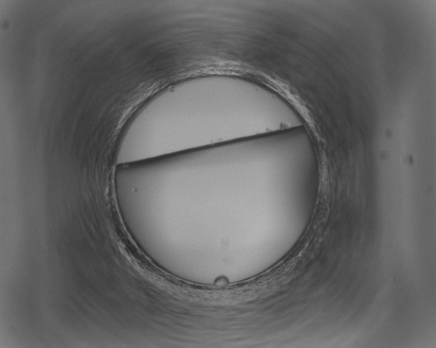 X0000078290010200611031003