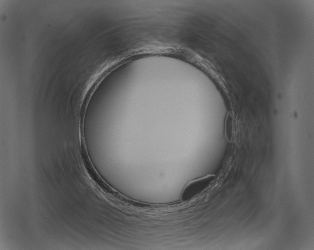 X0000078290011200611031003