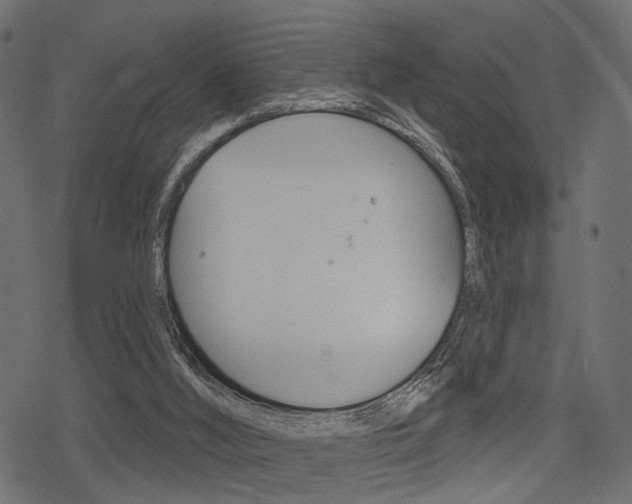 X0000078290012200611031003