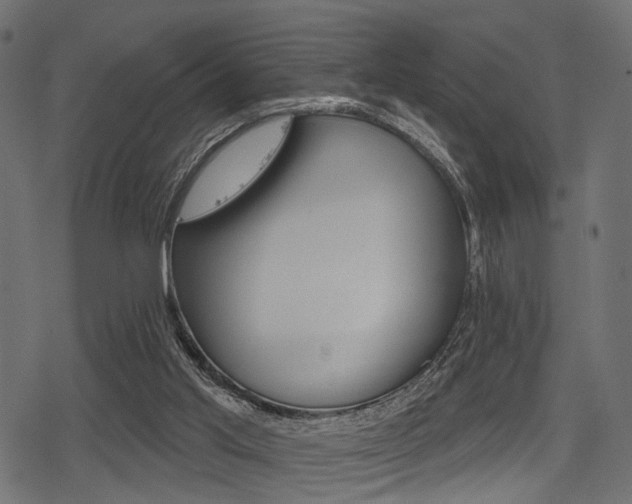 X0000078290013200611031003