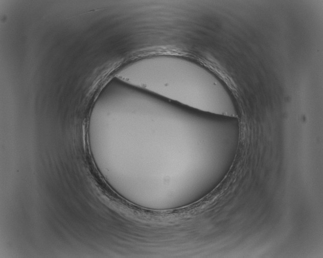 X0000078290014200611031003