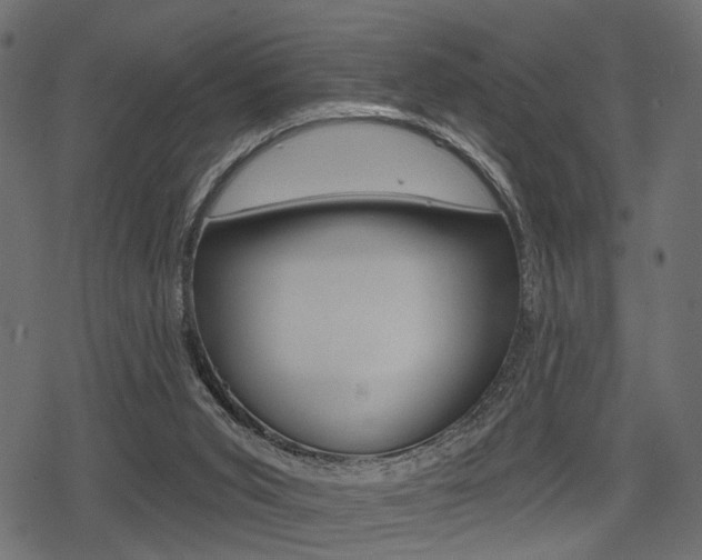 X0000078290015200611031003