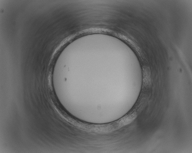 X0000078290016200611031003