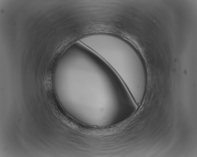 X0000078290017200611031003