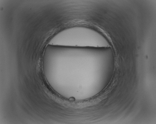 X0000078290018200611031003