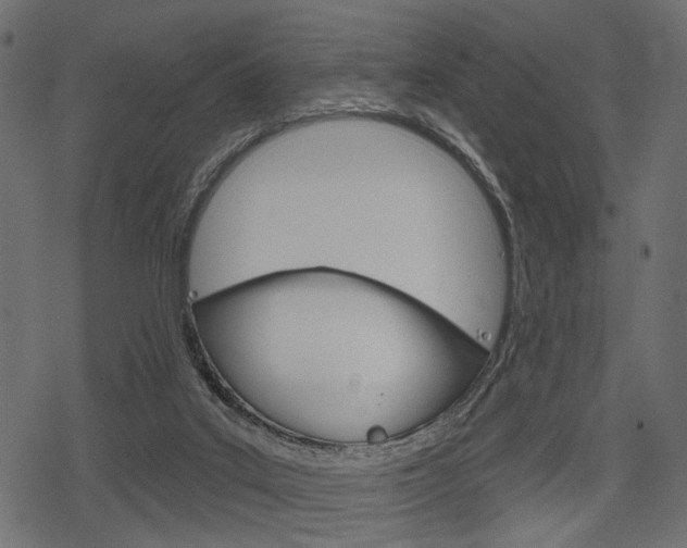 X0000078290019200611031003