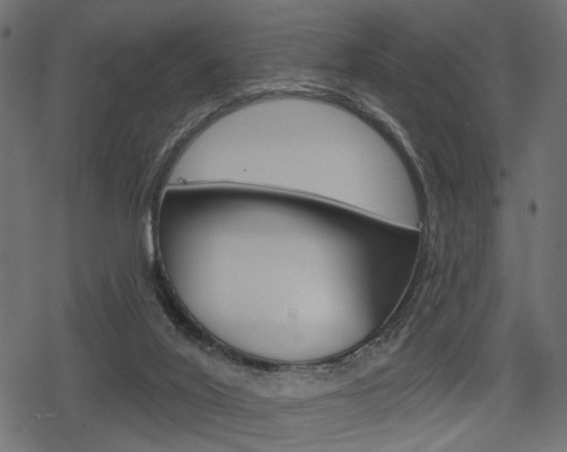 X0000078290020200611031003