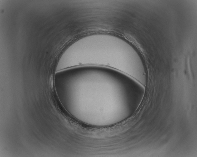 X0000078290021200611031003