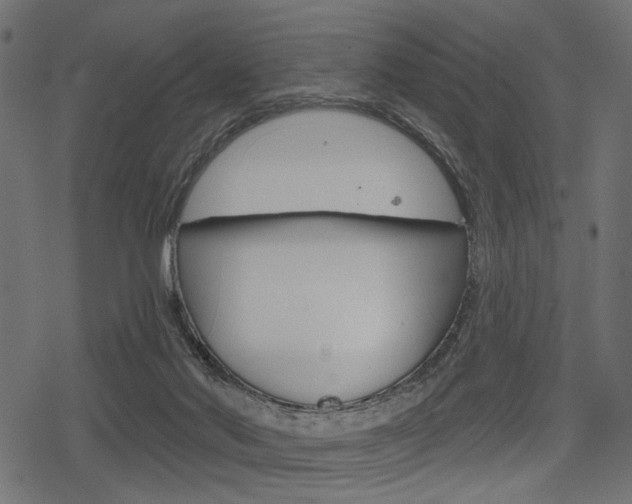 X0000078290022200611031003