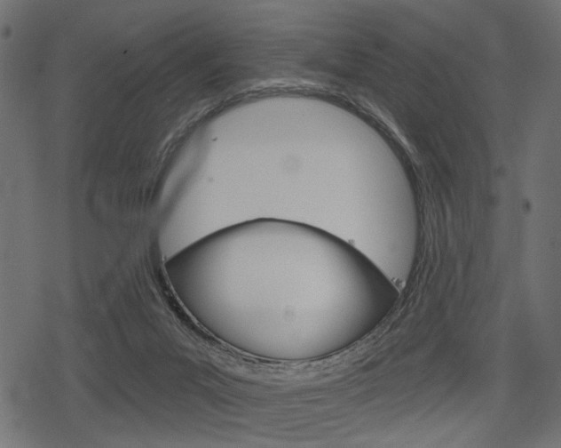 X0000078290023200611031003