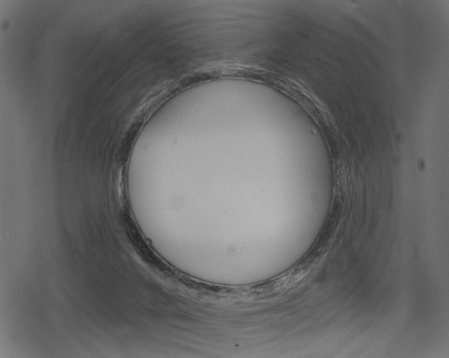 X0000078290024200611031003