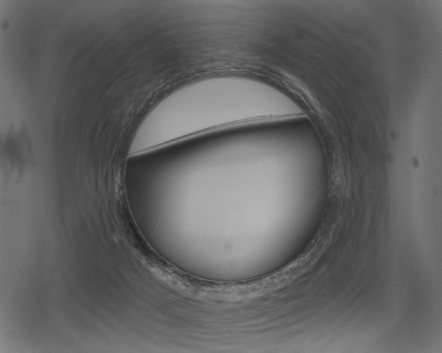 X0000078290025200611031003