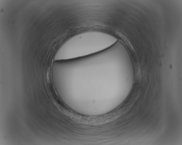 X0000078290026200611031003