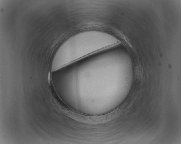 X0000078290027200611031003