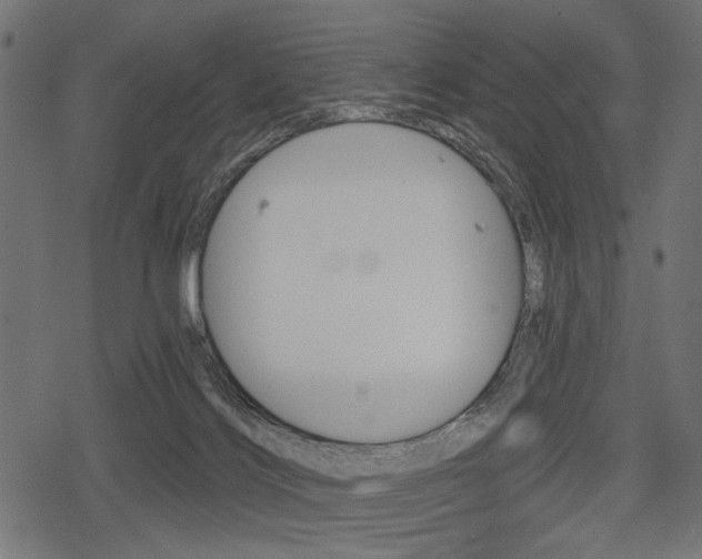 X0000078290028200611031003