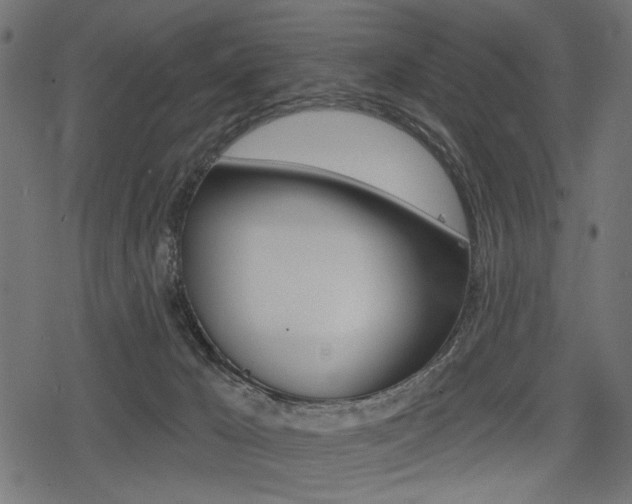 X0000078290029200611031003