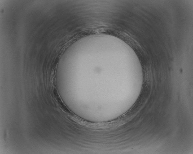 X0000078290030200611031003