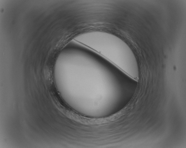 X0000078290031200611031003