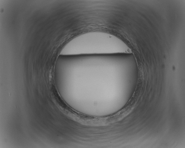 X0000078290032200611031003