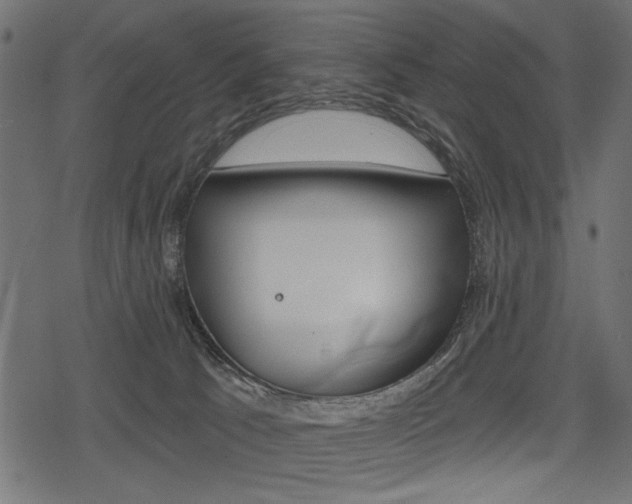 X0000078290033200611031003