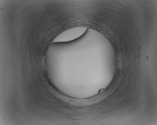 X0000078290034200611031003