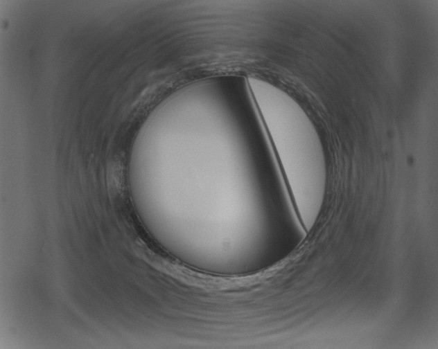 X0000078290035200611031003