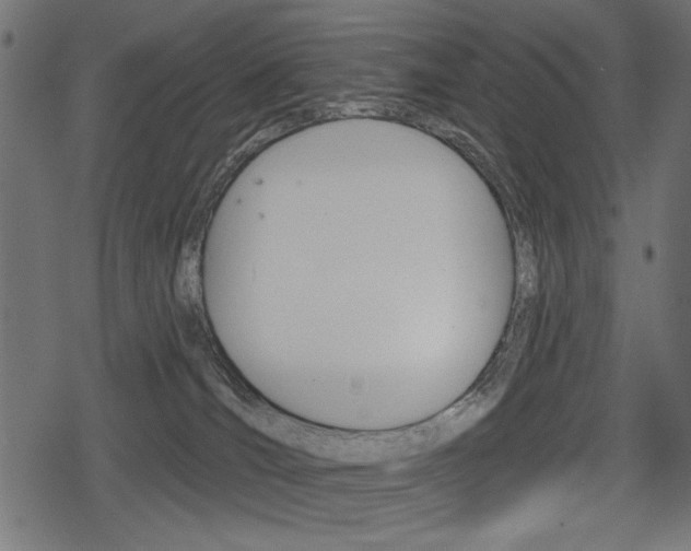 X0000078290036200611031003