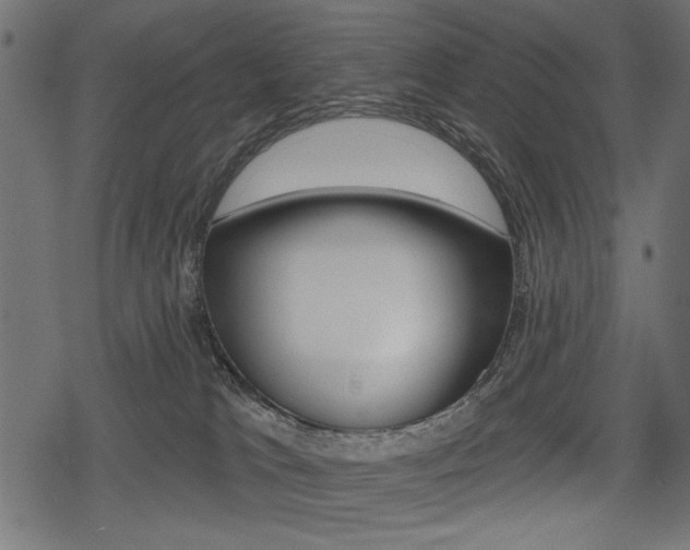 X0000078290037200611031003