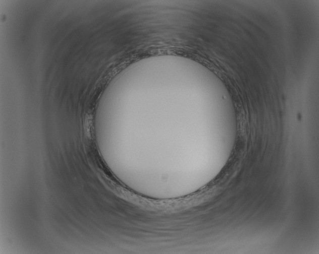 X0000078290038200611031003