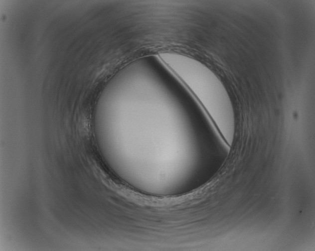 X0000078290039200611031003