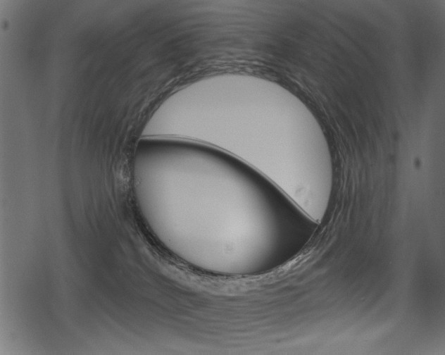 X0000078290040200611031003