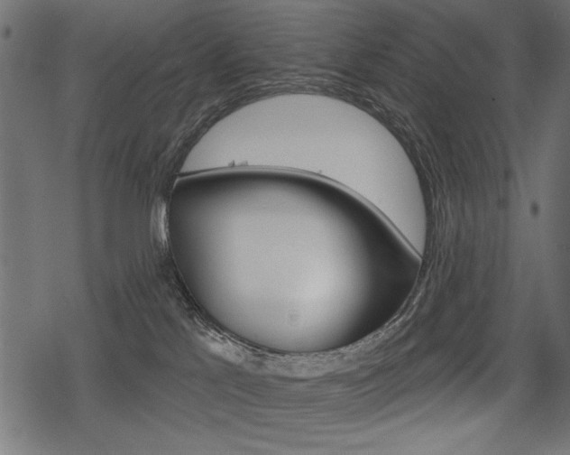 X0000078290041200611031003