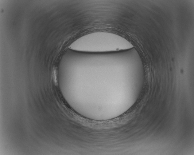 X0000078290042200611031003