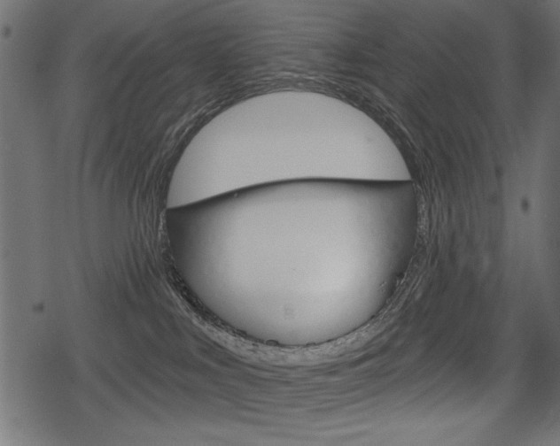 X0000078290043200611031003